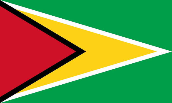 Guyana 3'X5' Flag ROUGH TEX® 100D