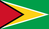 Guyana 3'X5' Flag ROUGH TEX® 100D