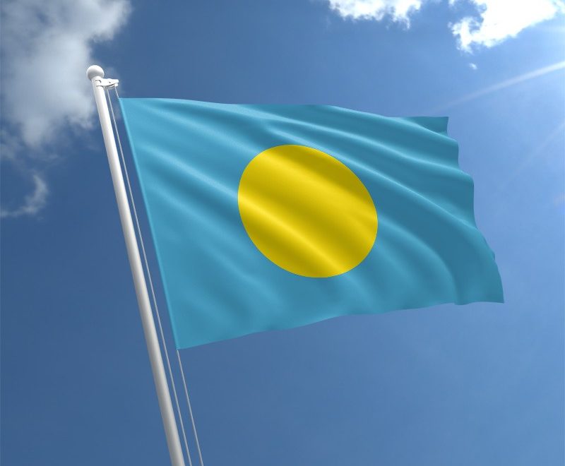 Palau 3'X5' Flag ROUGH TEX® 100D