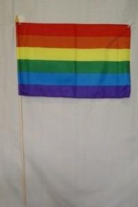 Rainbow 12"x18" stick flags one dozen
