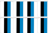 Estonia 12' Foot Long Bunting String Flag - Rough Tex ®100D