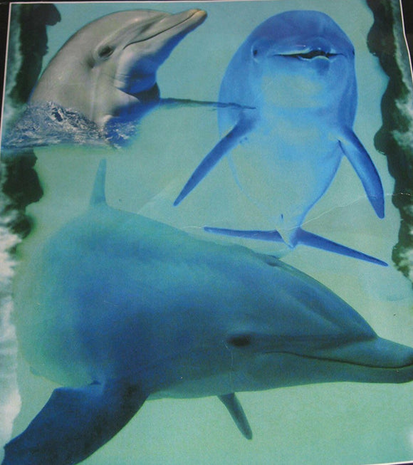 Playing Dolphins Deluxe Polar Fleece Blanket