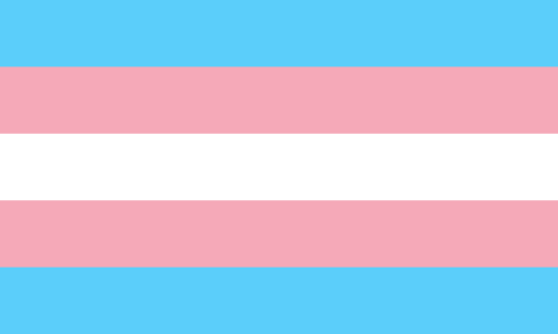 Transgender Pride 3'x5' 100D Flag Rough Tex ®