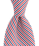 Democrat Base Official American Candidate Tie